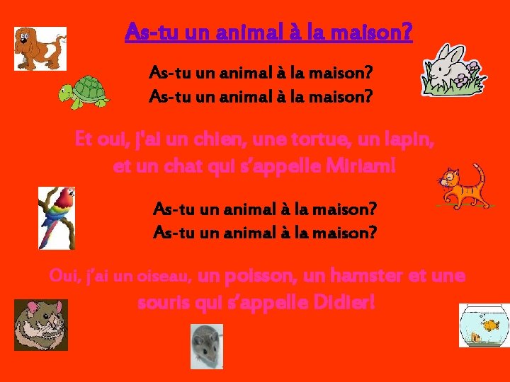 As-tu un animal à la maison? Et oui, j'ai un chien, une tortue, un