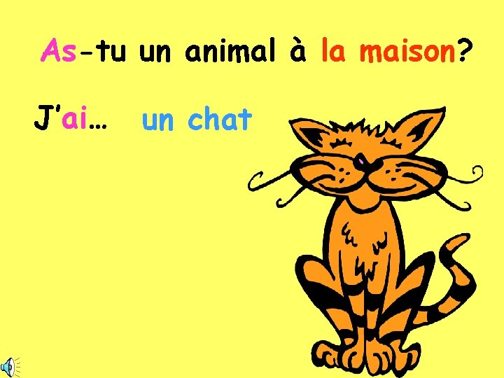 As-tu un animal à la maison? J’ai… un chat 