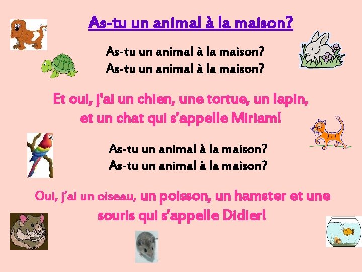 As-tu un animal à la maison? Et oui, j'ai un chien, une tortue, un