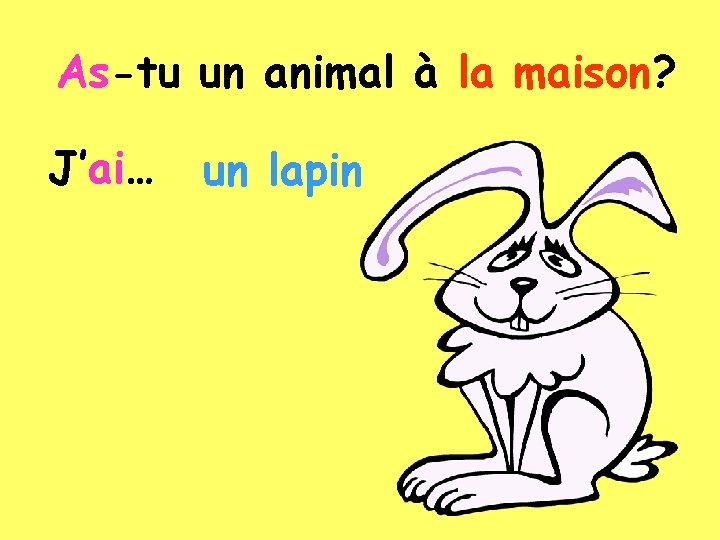 As-tu un animal à la maison? J’ai… un lapin 