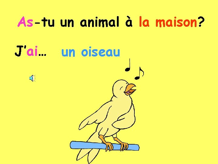 As-tu un animal à la maison? J’ai… un oiseau 