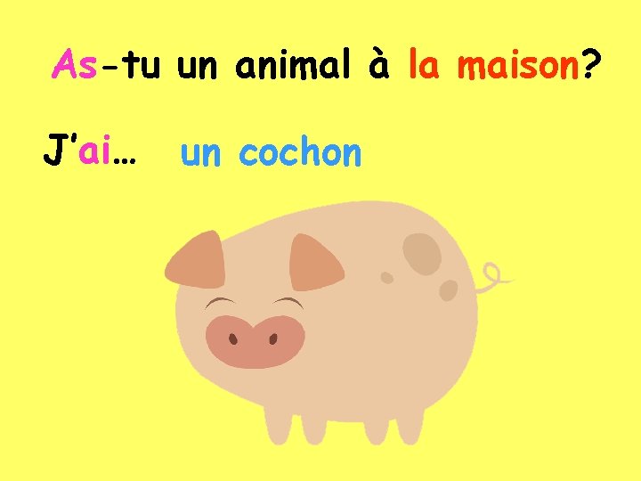 As-tu un animal à la maison? J’ai… un cochon 