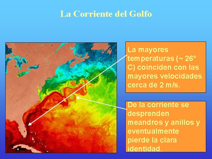 La Corriente del Golfo La mayores temperaturas (~ 26° C) coinciden con las mayores