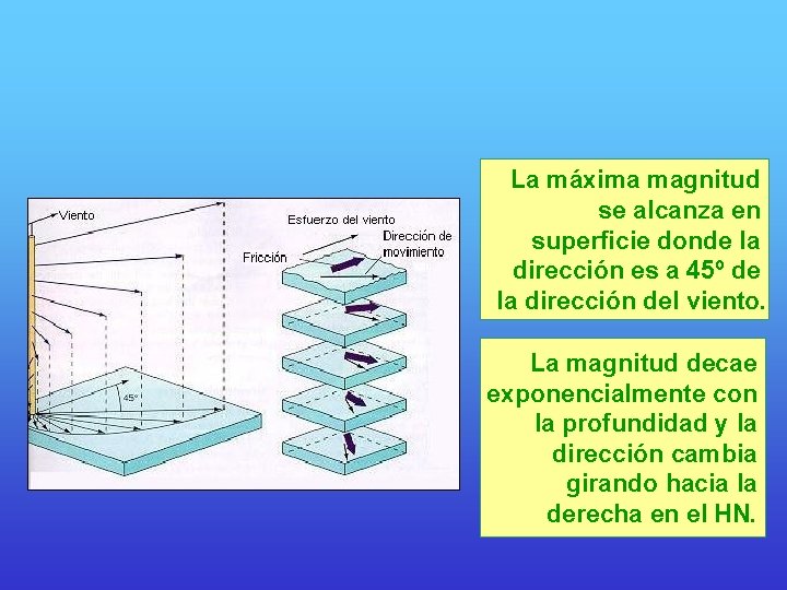 La máxima magnitud se alcanza en superficie donde la dirección es a 45º de