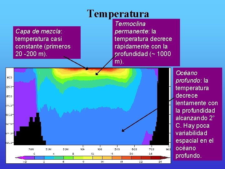 Temperatura Capa de mezcla: temperatura casi constante (primeros 20 -200 m). Termoclina permanente: la