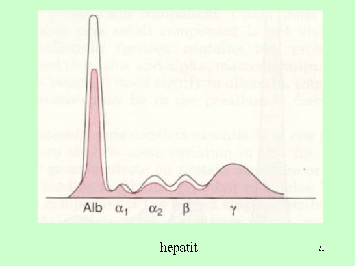 hepatit 20 