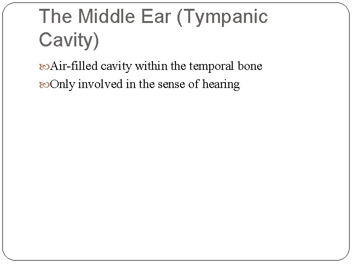 The Middle Ear (Tympanic Cavity) Air-filled cavity within the temporal bone Only involved in