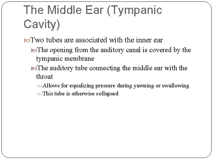 The Middle Ear (Tympanic Cavity) Two tubes are associated with the inner ear The