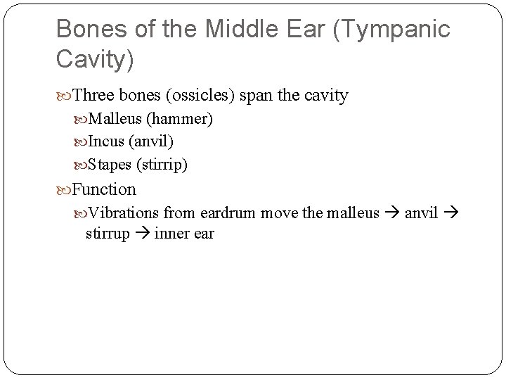 Bones of the Middle Ear (Tympanic Cavity) Three bones (ossicles) span the cavity Malleus