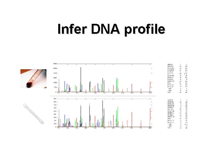 Infer DNA profile 