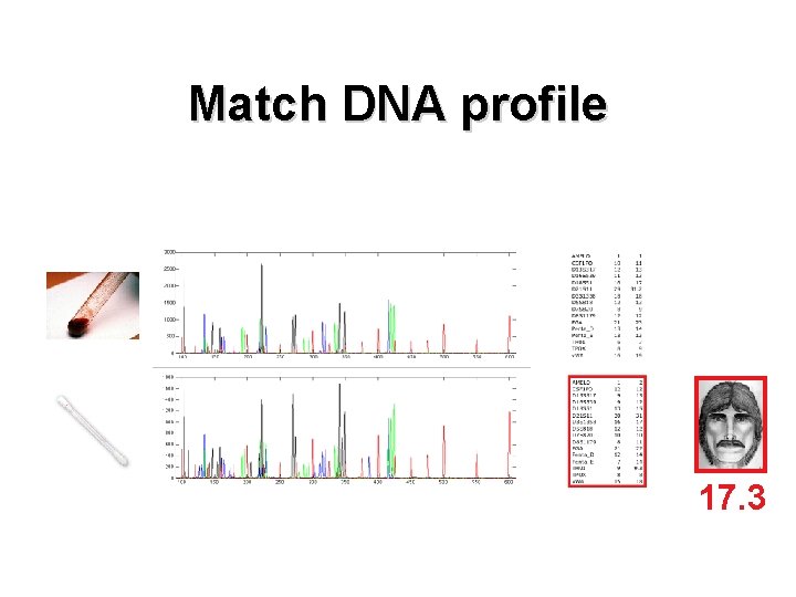 Match DNA profile 17. 3 