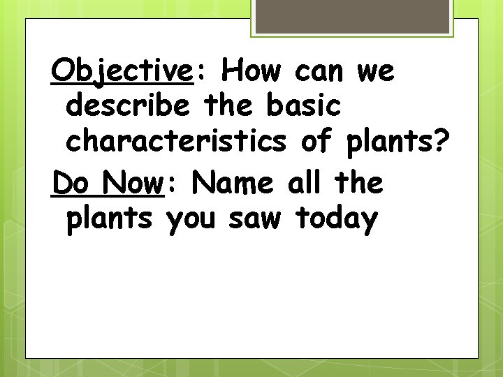 Objective: How can we describe the basic characteristics of plants? Do Now: Name all