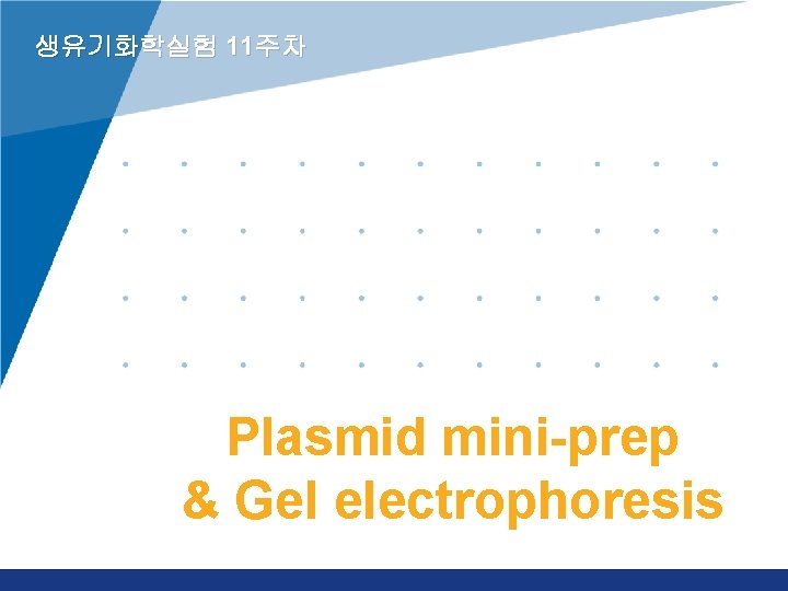 생유기화학실험 11주차 Plasmid mini-prep E. Coli transformation & Gel electrophoresis www. company. com 