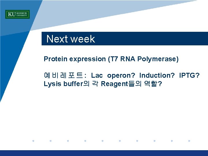 Next week Protein expression (T 7 RNA Polymerase) 예 비 레 포 트 :