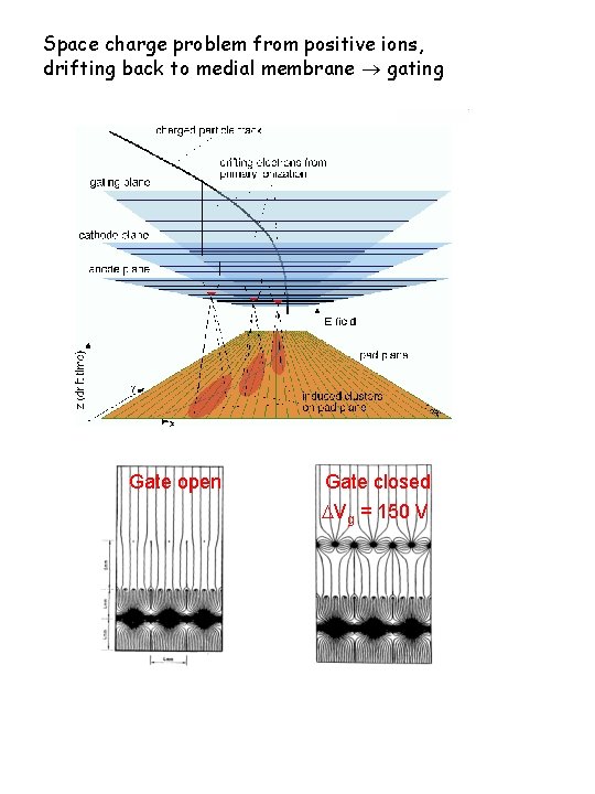 Space charge problem from positive ions, drifting back to medial membrane gating Gate open