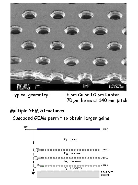 Typical geometry: 5 µm Cu on 50 µm Kapton 70 µm holes at 140