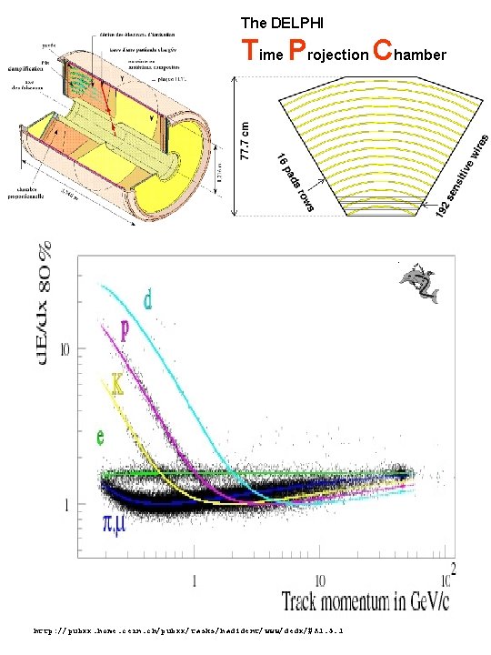 The DELPHI Time Projection Chamber http: //pubxx. home. cern. ch/pubxx/tasks/hadident/www/dedx/#A 1. 5. 1 