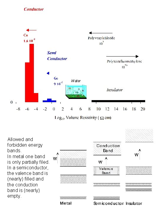 Water Allowed and forbidden energy bands. In metal one band is only partially filed.