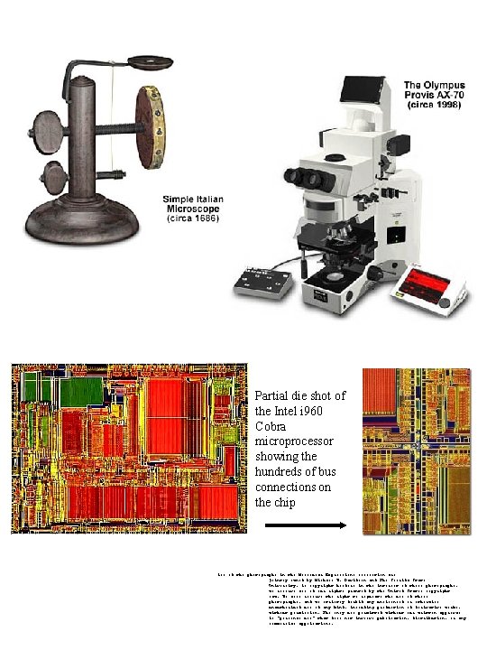 Partial die shot of the Intel i 960 Cobra microprocessor showing the hundreds of