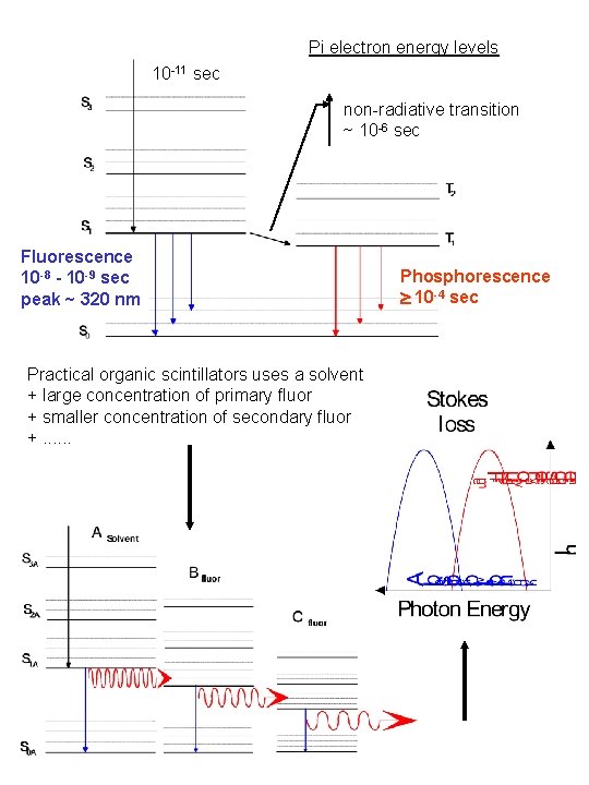 Pi electron energy levels 10 -11 sec non-radiative transition ~ 10 -6 sec Fluorescence