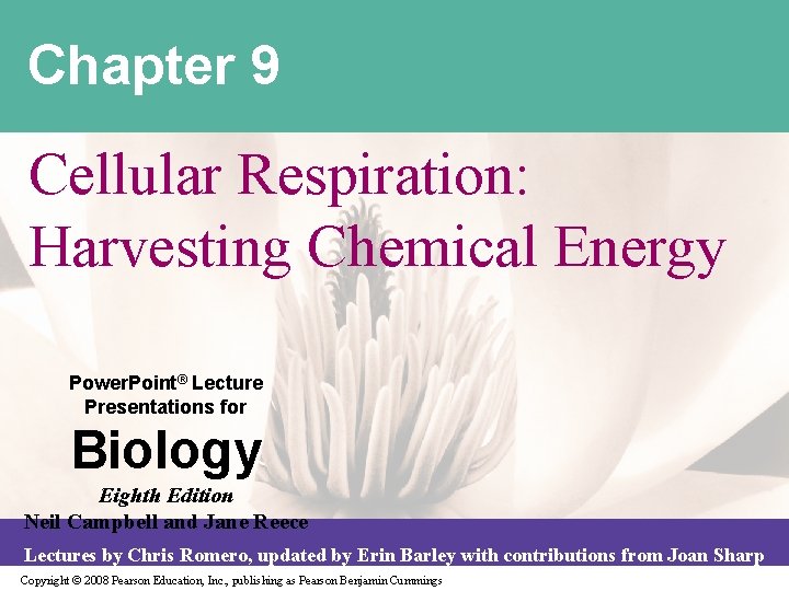 Chapter 9 Cellular Respiration: Harvesting Chemical Energy Power. Point® Lecture Presentations for Biology Eighth