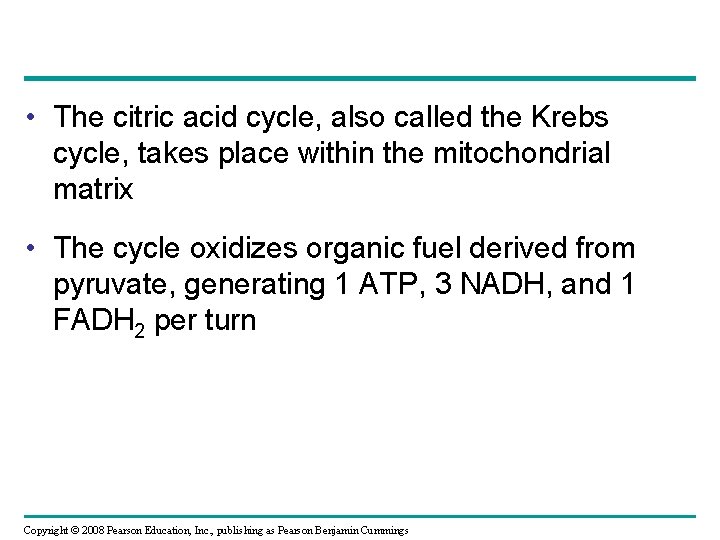  • The citric acid cycle, also called the Krebs cycle, takes place within