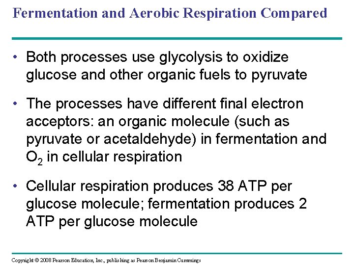 Fermentation and Aerobic Respiration Compared • Both processes use glycolysis to oxidize glucose and