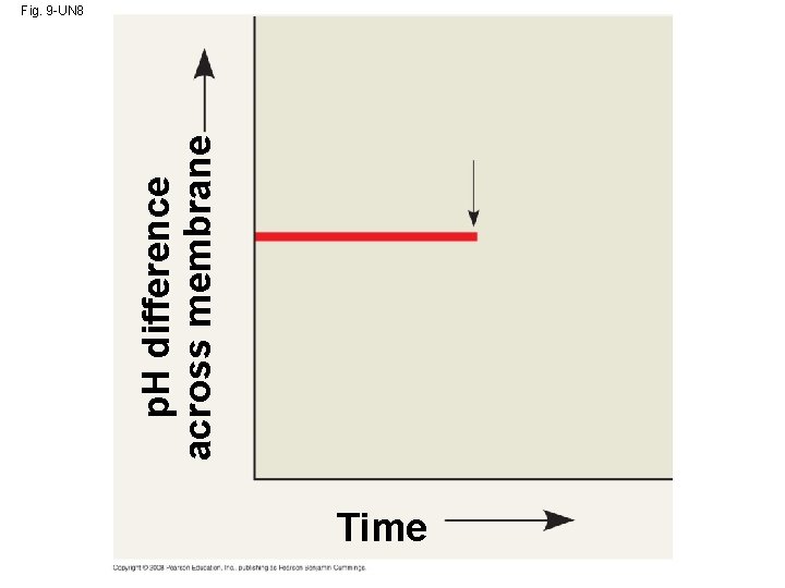 p. H difference across membrane Fig. 9 -UN 8 Time 