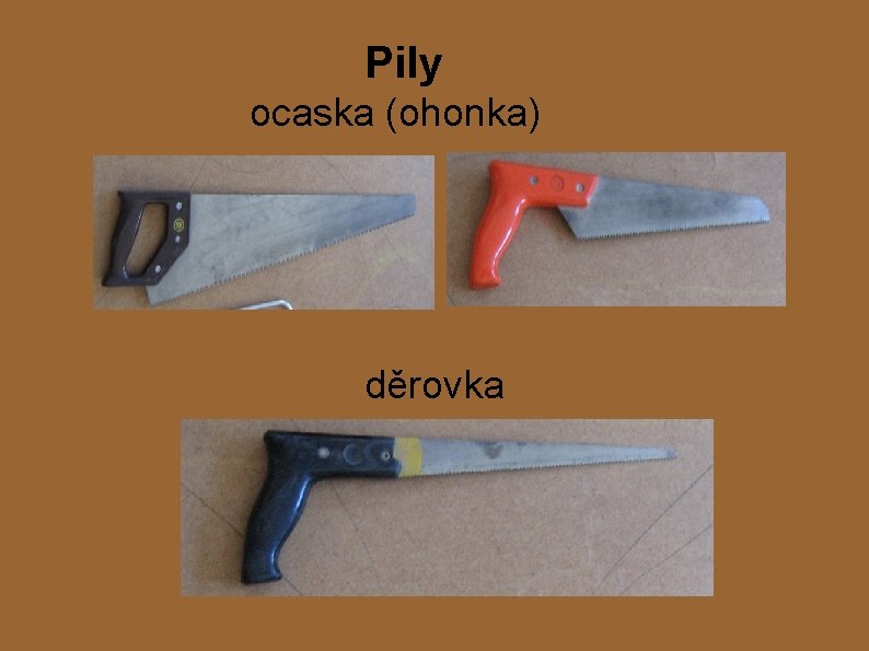 Pily ocaska (ohonka) děrovka 