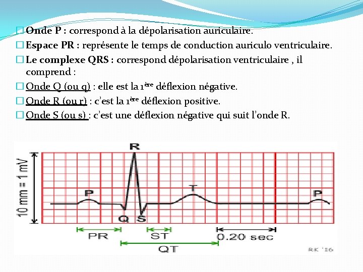 � Onde P : correspond à la dépolarisation auriculaire. � Espace PR : représente