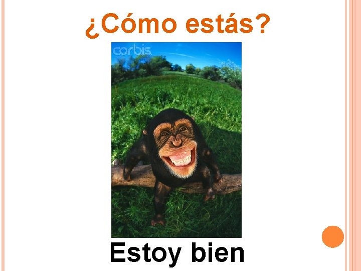 ¿Cómo estás? Estoy bien ¿Cómo estás? Estoy bien