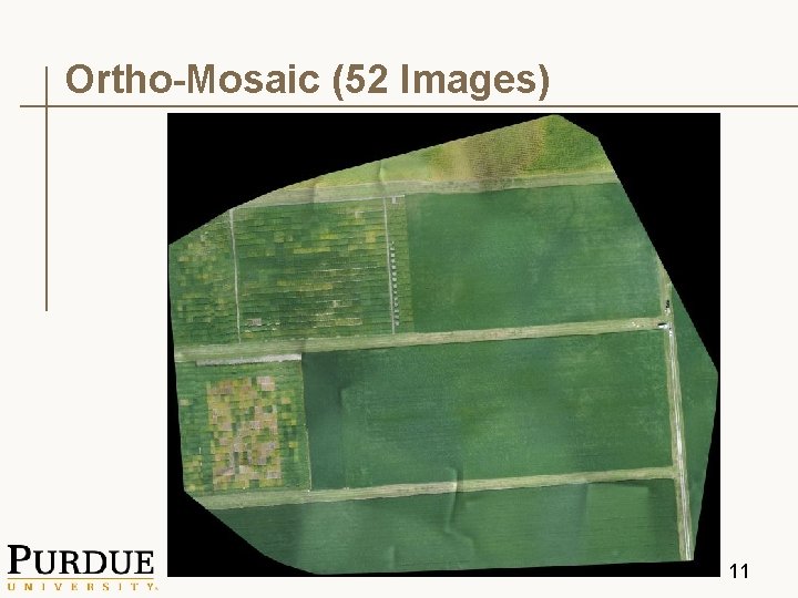 Ortho-Mosaic (52 Images) 11 