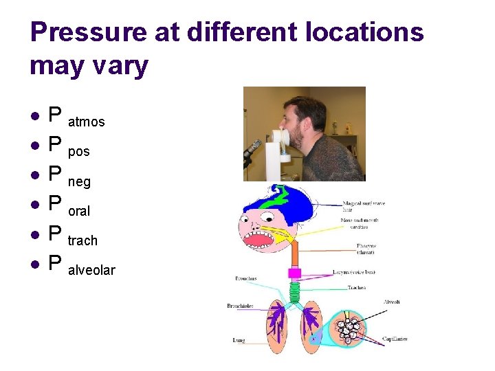 Pressure at different locations may vary l l l P atmos P pos P