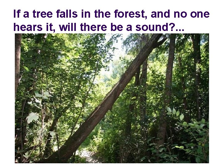 If a tree falls in the forest, and no one hears it, will there