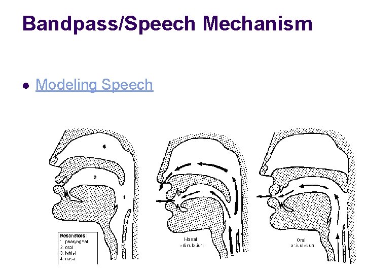 Bandpass/Speech Mechanism l Modeling Speech 