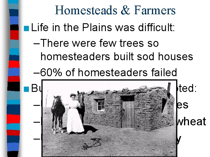 Homesteads & Farmers ■ Life in the Plains was difficult: –There were few trees