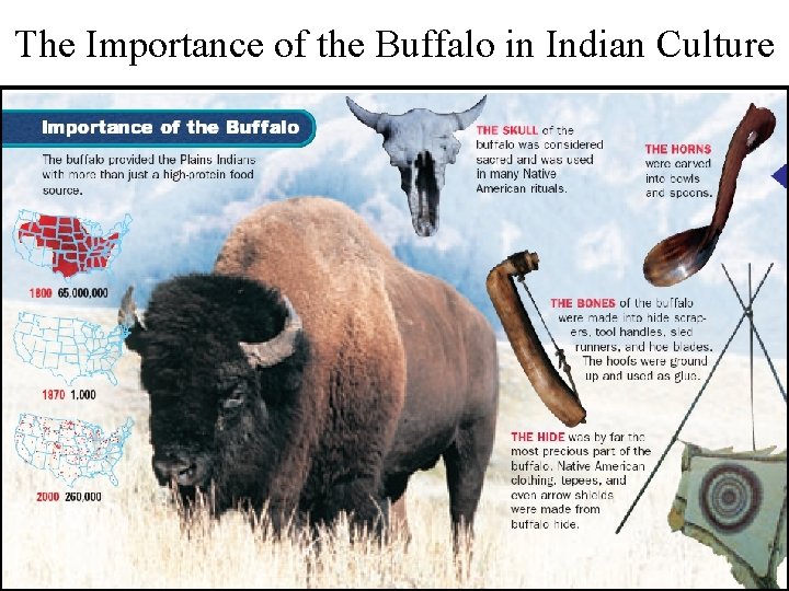 The Importance of the Buffalo in Indian Culture 