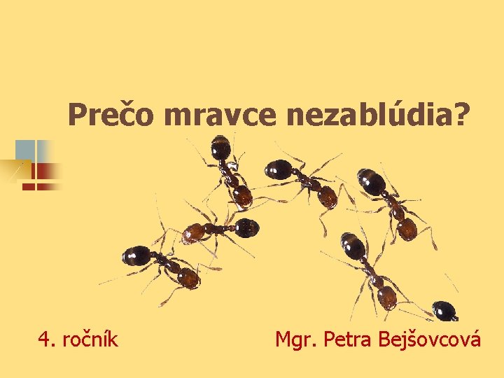 Prečo mravce nezablúdia? 4. ročník Mgr. Petra Bejšovcová 