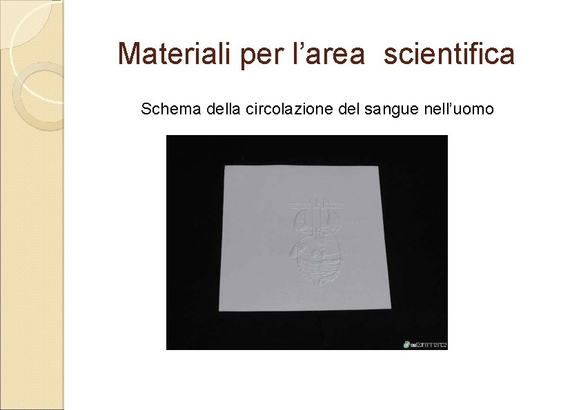 Materiali per l’area scientifica Schema della circolazione del sangue nell’uomo 
