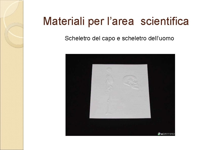 Materiali per l’area scientifica Scheletro del capo e scheletro dell’uomo 