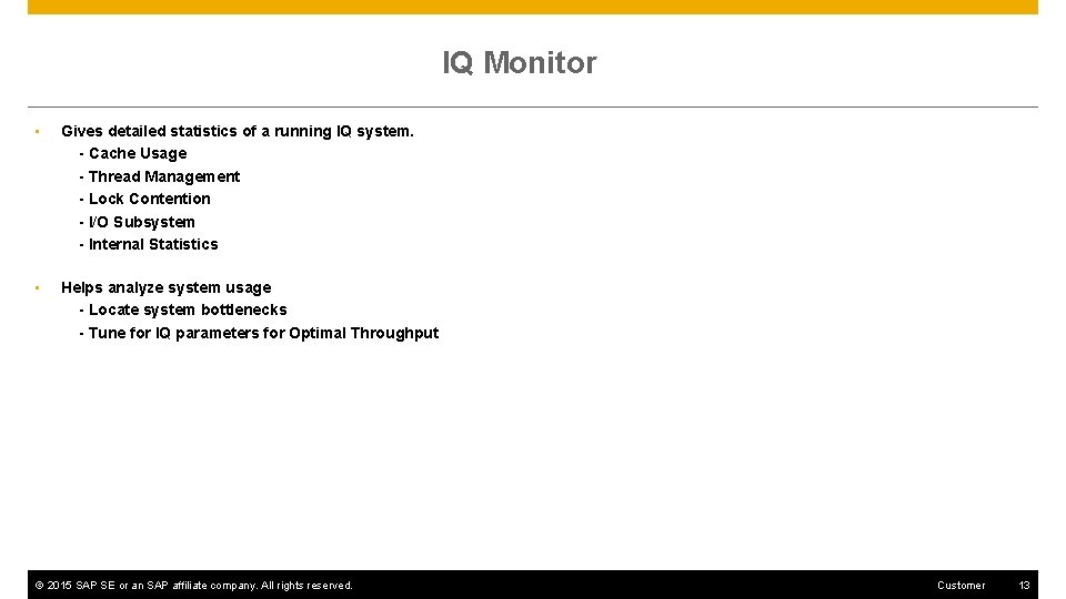 IQ Monitor • Gives detailed statistics of a running IQ system. - Cache Usage