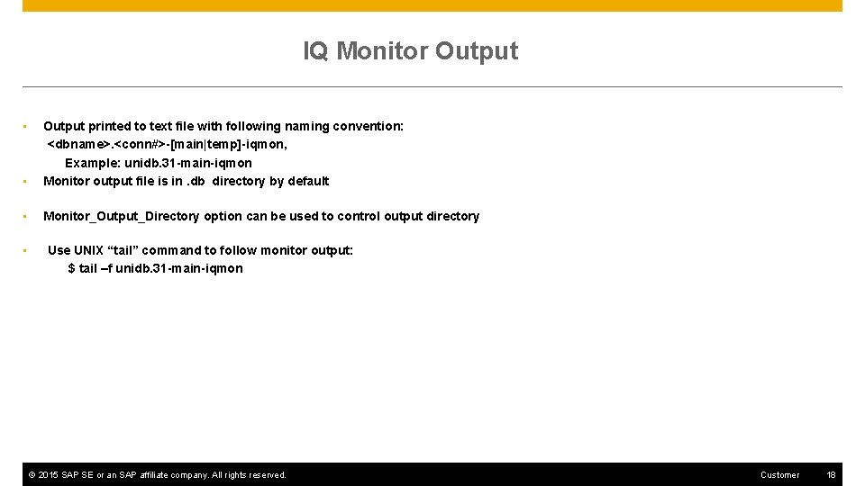 IQ Monitor Output • Output printed to text file with following naming convention: <dbname>.