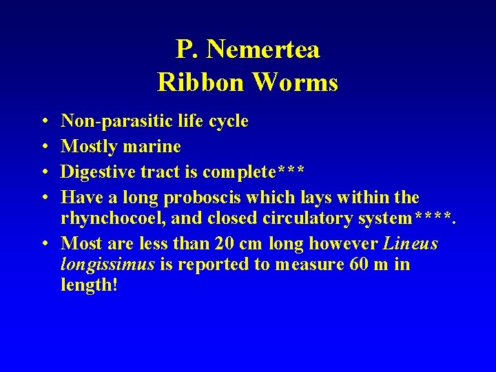 P. Nemertea Ribbon Worms • • Non-parasitic life cycle Mostly marine Digestive tract is