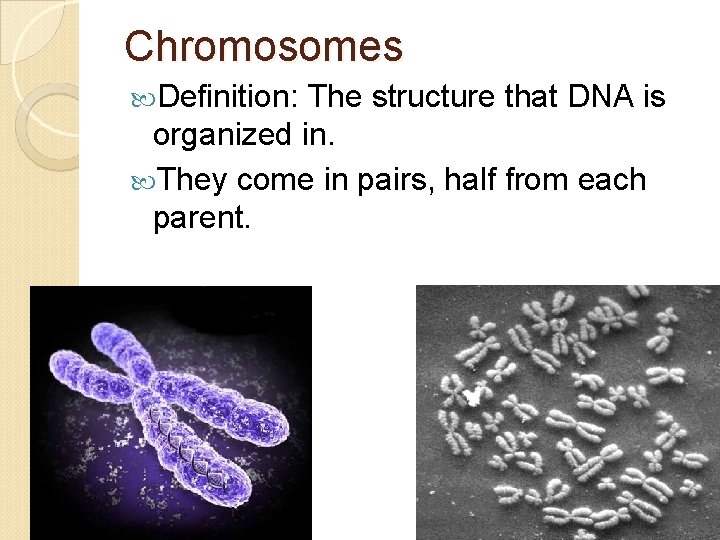 Chromosomes Definition: The structure that DNA is organized in. They come in pairs, half