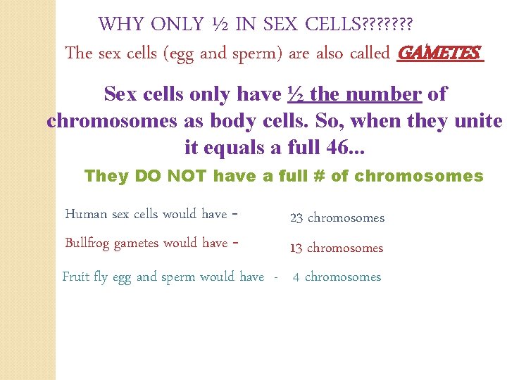 WHY ONLY ½ IN SEX CELLS? ? ? ? The sex cells (egg and