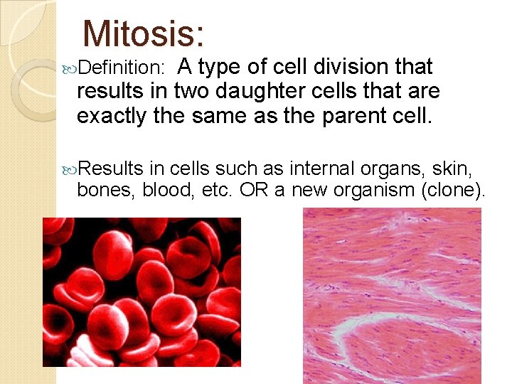 Mitosis: A type of cell division that results in two daughter cells that are