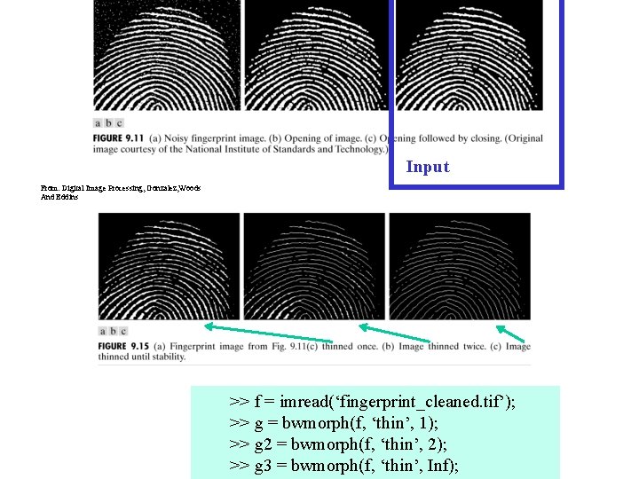 Chapter 9 Morphological Image Processing Input From: Digital Image Processing, Gonzalez, Woods And Eddins