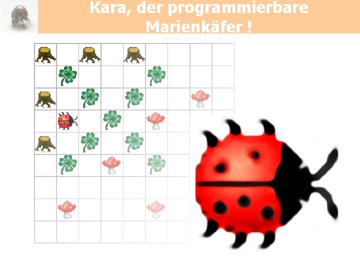 Kara, der programmierbare Marienkäfer ! 