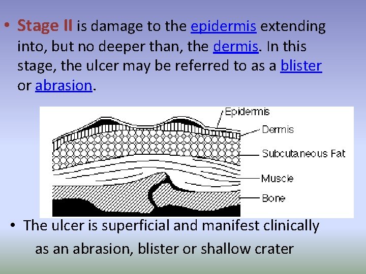  • Stage II is damage to the epidermis extending into, but no deeper