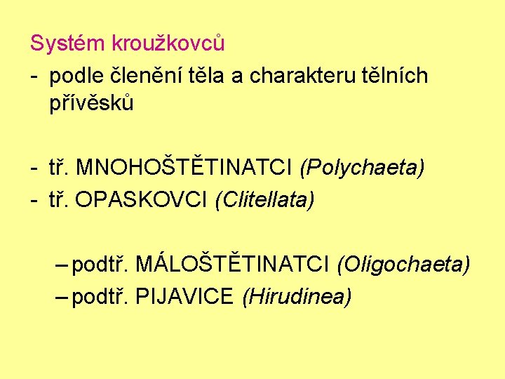 Systém kroužkovců - podle členění těla a charakteru tělních přívěsků - tř. MNOHOŠTĚTINATCI (Polychaeta)